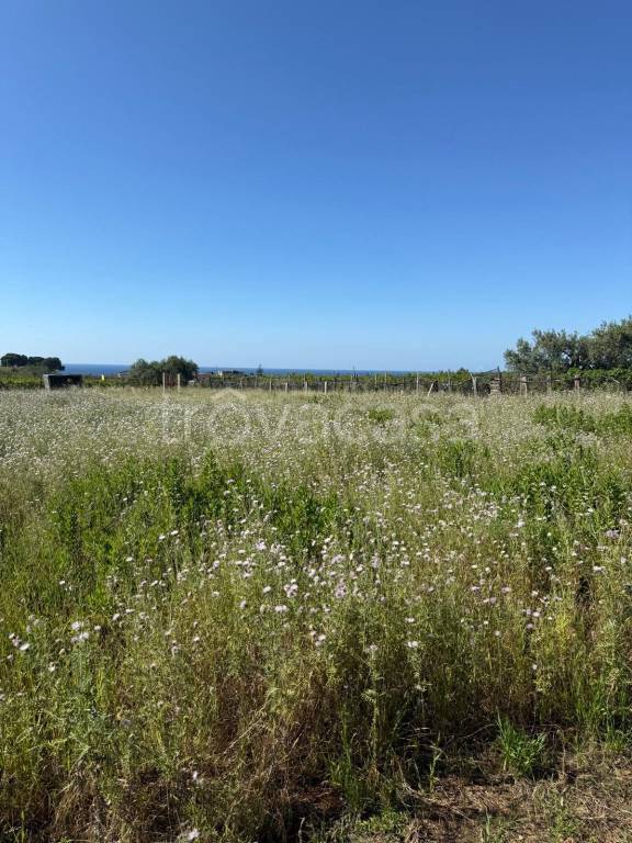 terreno agricolo in vendita a Trappeto