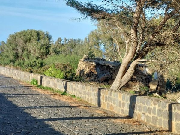 terreno agricolo in vendita ad Ustica