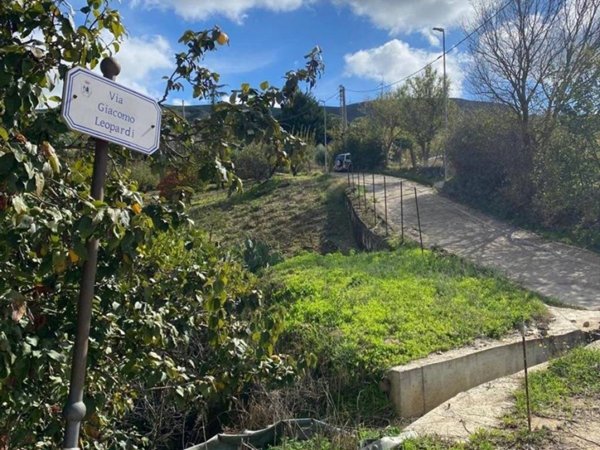 terreno agricolo in vendita a Valledolmo