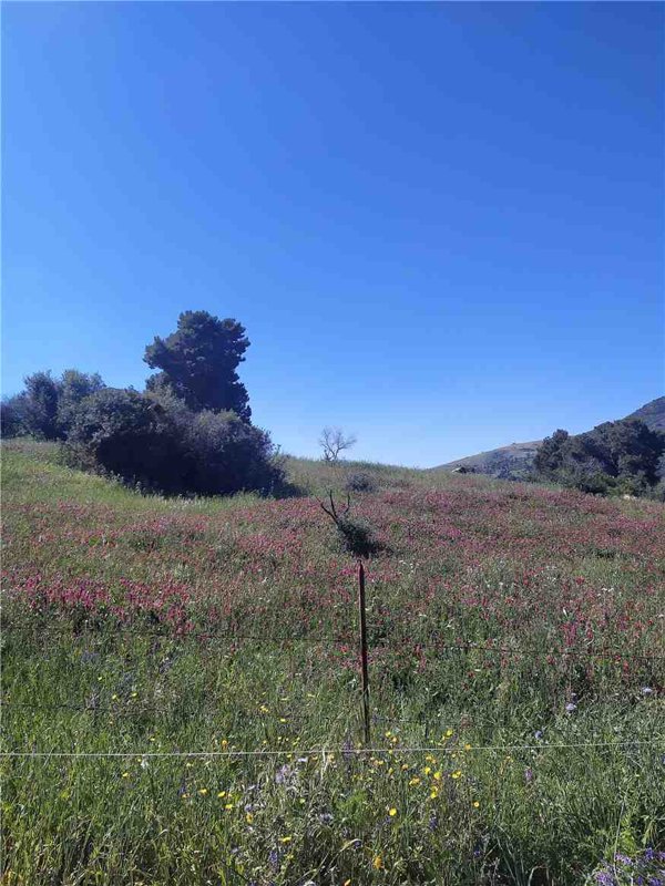 terreno agricolo in vendita a Ventimiglia di Sicilia