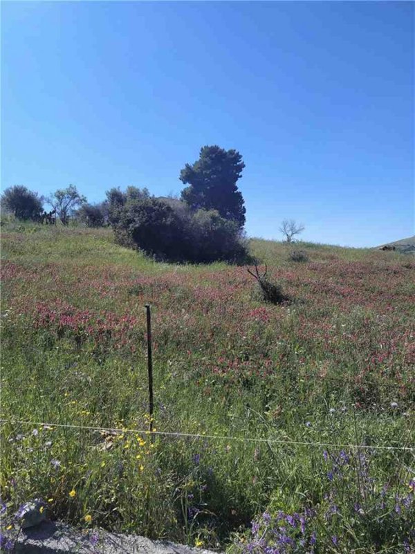 terreno agricolo in vendita a Ventimiglia di Sicilia