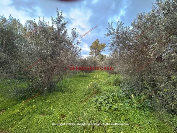 terreno agricolo in vendita a Villabate