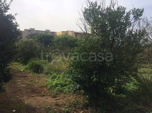 terreno agricolo in vendita a Villabate in zona Pomara