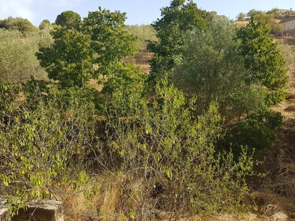 casa indipendente in vendita a Villafrati