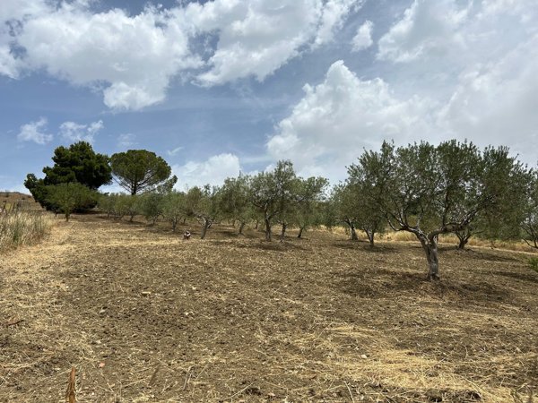 terreno edificabile in vendita a Blufi