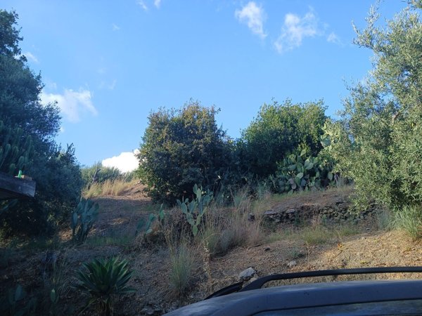 terreno in vendita ad Alì Terme