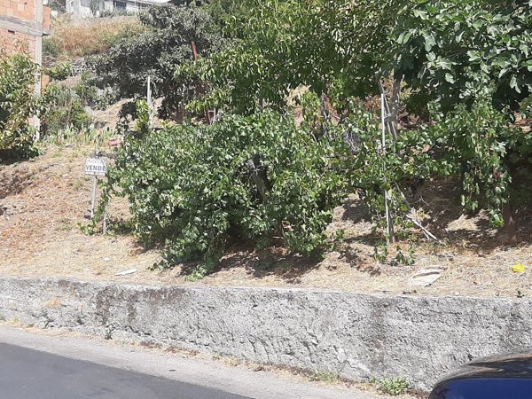 casa indipendente in vendita ad Antillo