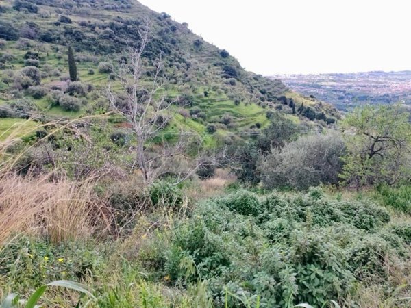 terreno agricolo in vendita ad Antillo