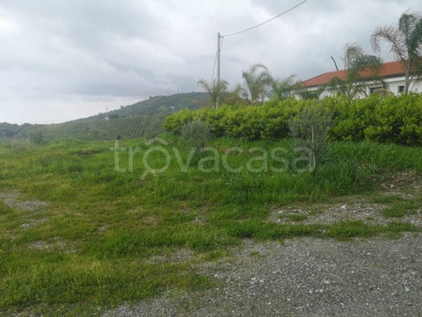 terreno agricolo in vendita a Barcellona Pozzo di Gotto