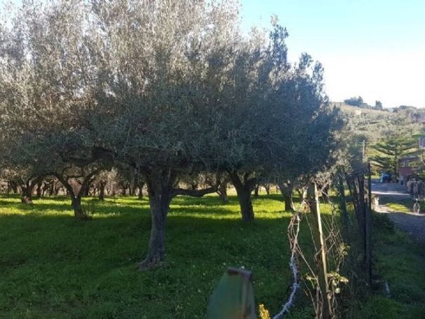 terreno agricolo in vendita a Barcellona Pozzo di Gotto