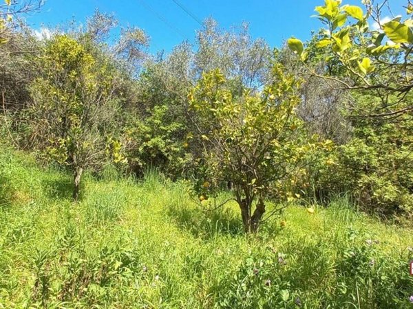 appartamento in vendita a Barcellona Pozzo di Gotto