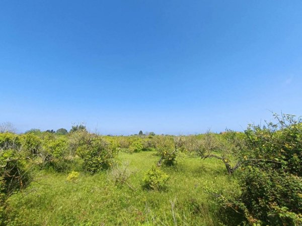 terreno agricolo in vendita a Barcellona Pozzo di Gotto