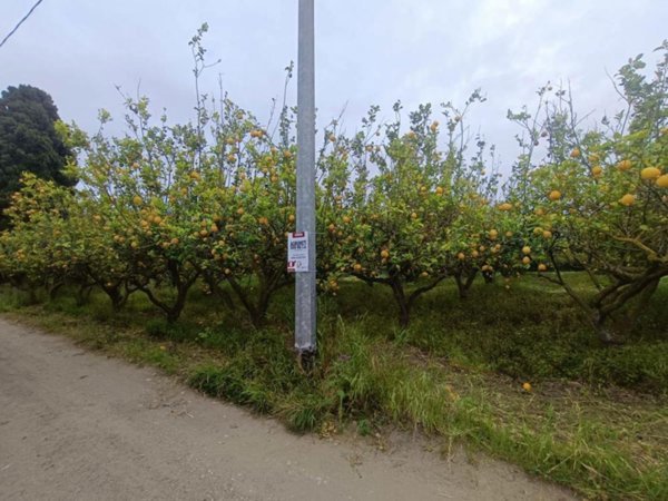 terreno agricolo in vendita a Barcellona Pozzo di Gotto