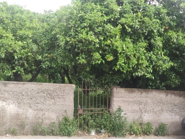 terreno agricolo in vendita a Barcellona Pozzo di Gotto