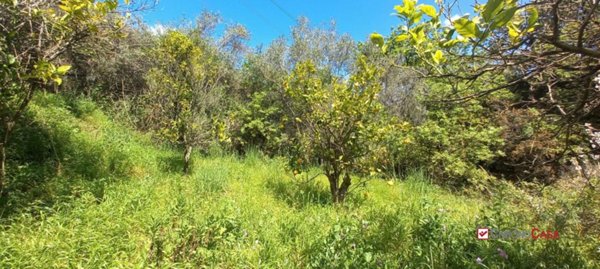 terreno agricolo in vendita a Barcellona Pozzo di Gotto