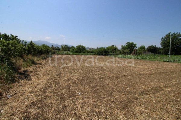 terreno agricolo in vendita a Barcellona Pozzo di Gotto