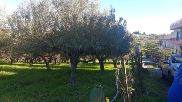 terreno agricolo in vendita a Barcellona Pozzo di Gotto