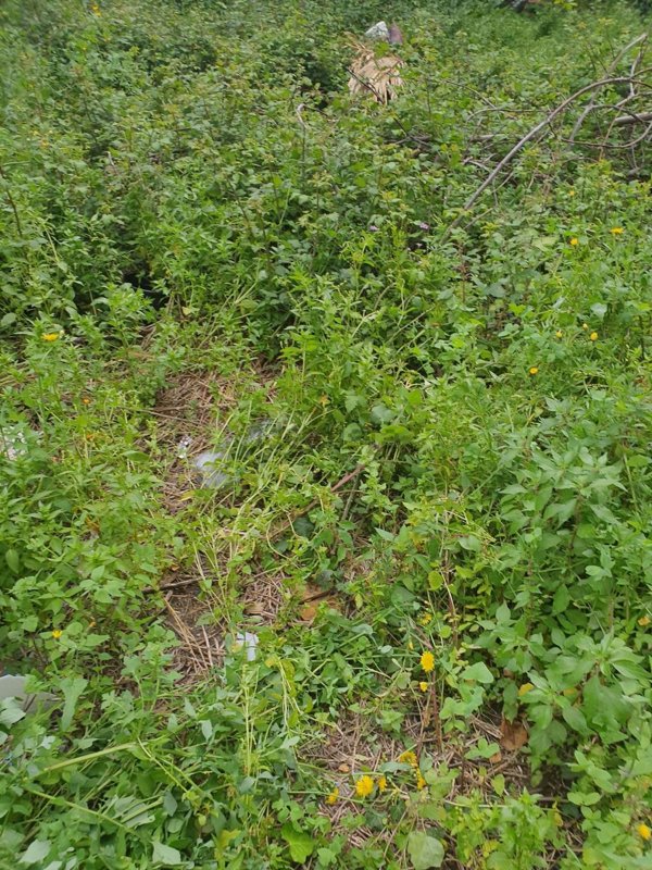 appartamento in vendita a Barcellona Pozzo di Gotto