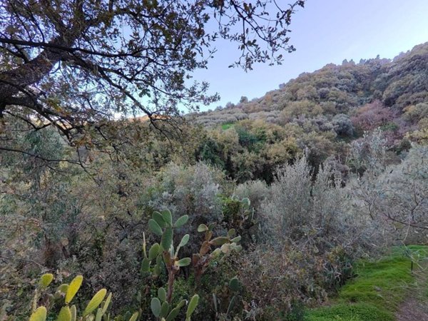 terreno agricolo in vendita a Barcellona Pozzo di Gotto in zona Femminamorta