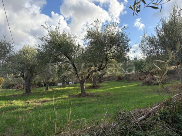 terreno agricolo in vendita a Barcellona Pozzo di Gotto
