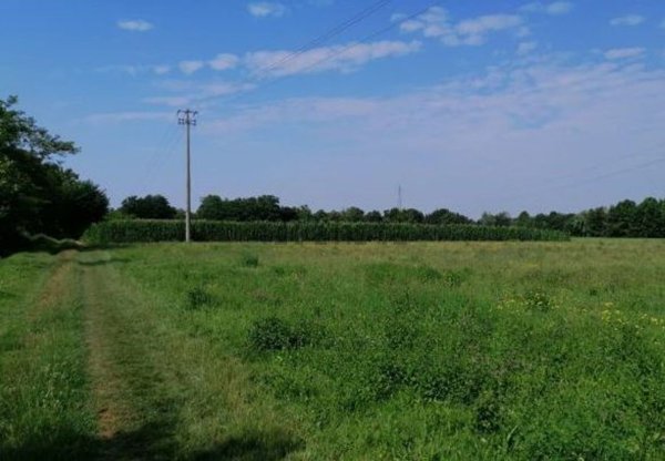 terreno agricolo in vendita a Barcellona Pozzo di Gotto
