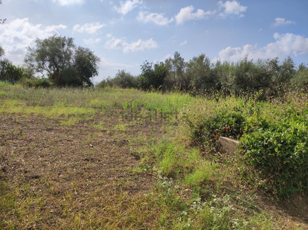 terreno agricolo in vendita a Barcellona Pozzo di Gotto in zona Oreto