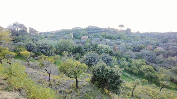 locale di sgombero in vendita a Barcellona Pozzo di Gotto in zona Acquaficara