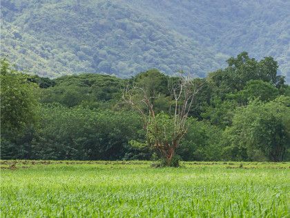 terreno agricolo in vendita a Barcellona Pozzo di Gotto