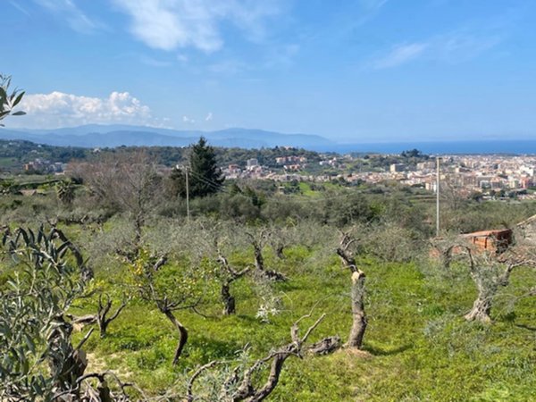 terreno agricolo in vendita a Barcellona Pozzo di Gotto