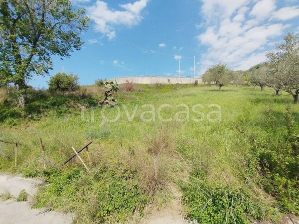 terreno agricolo in vendita a Barcellona Pozzo di Gotto