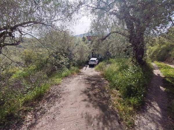 terreno agricolo in vendita a Barcellona Pozzo di Gotto in zona Oreto