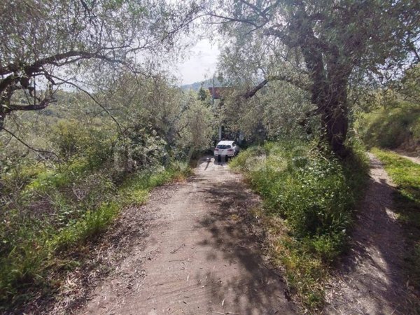 terreno agricolo in vendita a Barcellona Pozzo di Gotto in zona Oreto