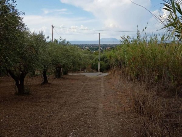 terreno agricolo in vendita a Barcellona Pozzo di Gotto