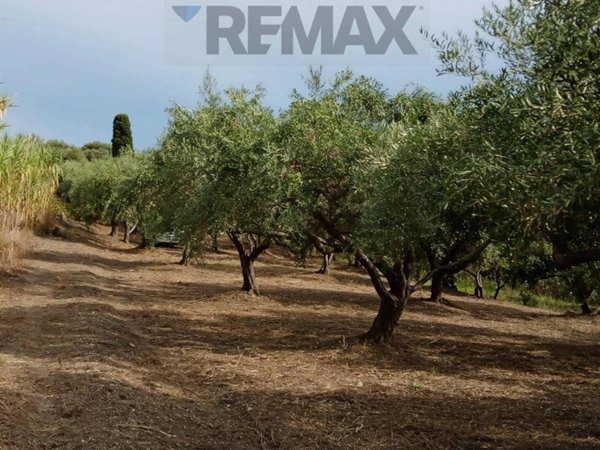 terreno agricolo in vendita a Barcellona Pozzo di Gotto in zona Femminamorta