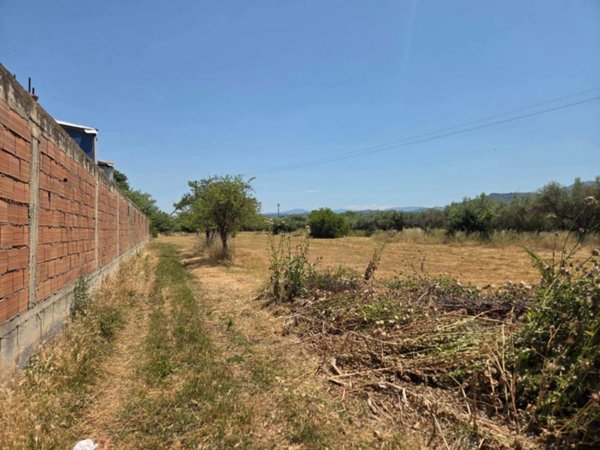 terreno agricolo in vendita a Barcellona Pozzo di Gotto