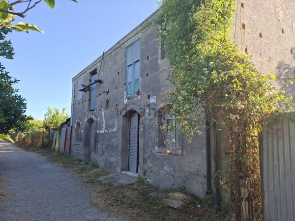 esavano in vendita a Barcellona Pozzo di Gotto in zona Sant'Antonio