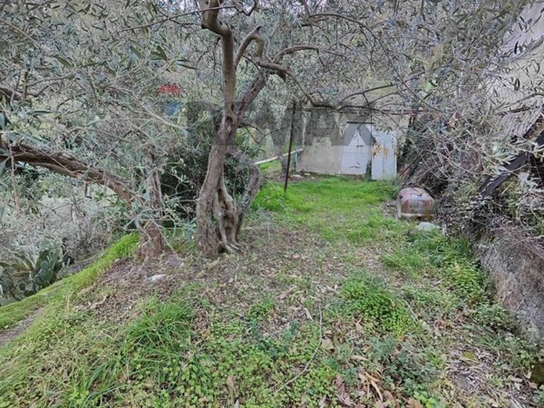 terreno agricolo in vendita a Barcellona Pozzo di Gotto in zona Cannistrà