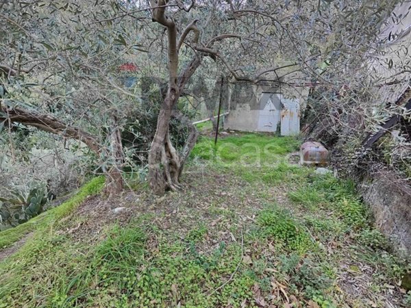 terreno agricolo in vendita a Barcellona Pozzo di Gotto