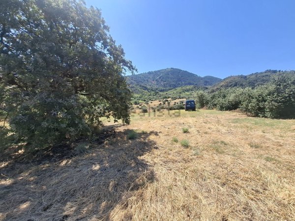 terreno agricolo in vendita a Barcellona Pozzo di Gotto in zona Cannistrà