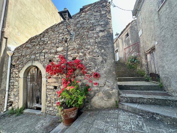casa indipendente in vendita a Basicò