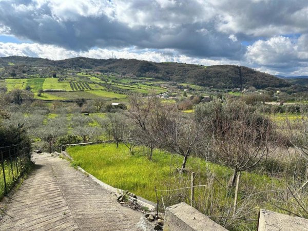 terreno agricolo in vendita a Basicò