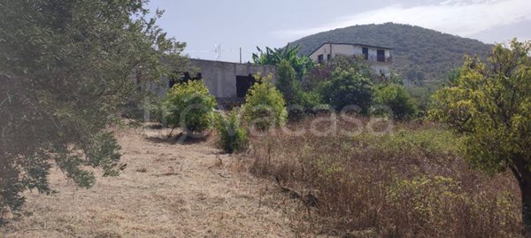 terreno agricolo in vendita a Capo d'Orlando