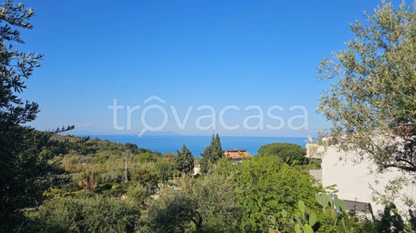 terreno agricolo in vendita a Capo d'Orlando