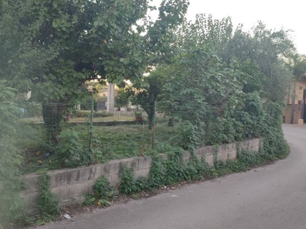 terreno agricolo in vendita a Capo d'Orlando