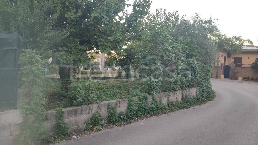 terreno agricolo in vendita a Capo d'Orlando