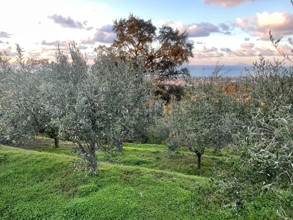 terreno agricolo in vendita a Capo d'Orlando