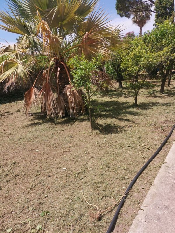 casa indipendente in vendita a Capo d'Orlando