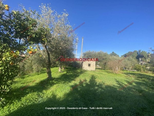 terreno agricolo in vendita a Capo d'Orlando