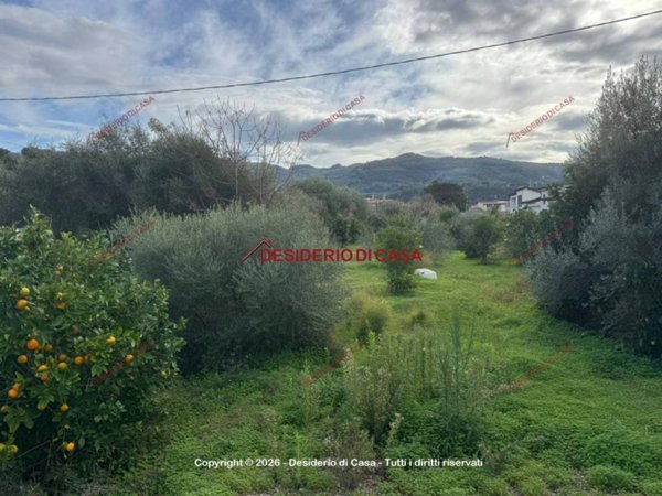 terreno agricolo in vendita a Capo d'Orlando