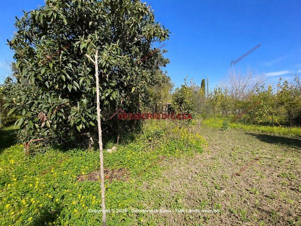 terreno agricolo in vendita a Capo d'Orlando
